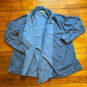 LL Bean Blue Knit Cardigan (Size Large)